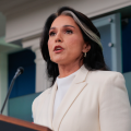 Tulsi Gabbard denies wrongdoing over delayed whistleblower complaint referral to Congress members: ‘Baseless’